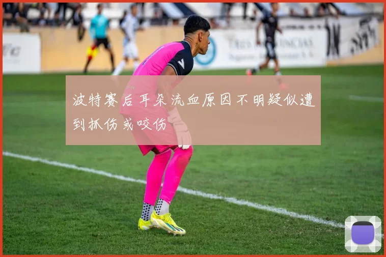 波特赛后耳朵流血原因不明疑似遭到抓伤或咬伤
